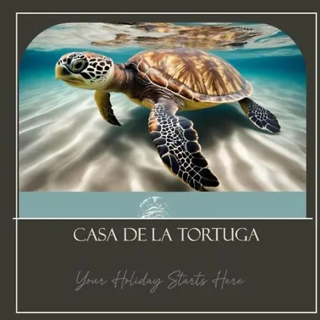 Apartment Casa De La Tortuga