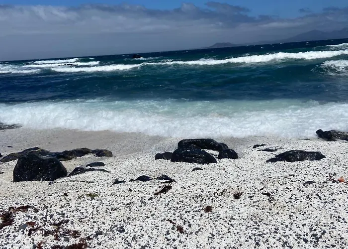 Casa De La Tortuga Lejlighed *