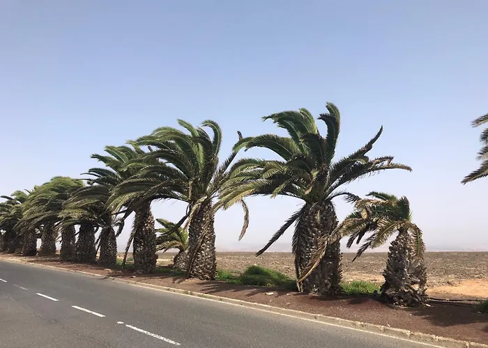 Lejlighed Casa De La Tortuga *