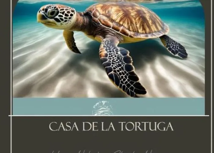 Lejlighed Casa De La Tortuga